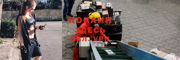 COCAINE Белокуриха