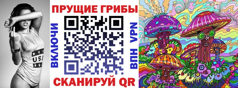 Галлюциногенные грибы Psilocybe  закладки  Туймазы 
